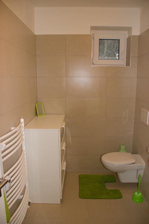 Apartman V Zeleni Dolní Morava Chambre photo